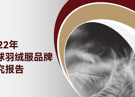 独家发布｜2022年全球羽绒服品牌研究报告 by 「华丽智库」：全景式覆盖中国与海外羽绒服的创新与拓展