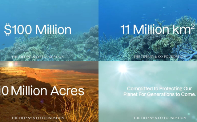 蒂芙尼基金会已累计拨款1亿美元以上“保护地球上最宝贵的地方”