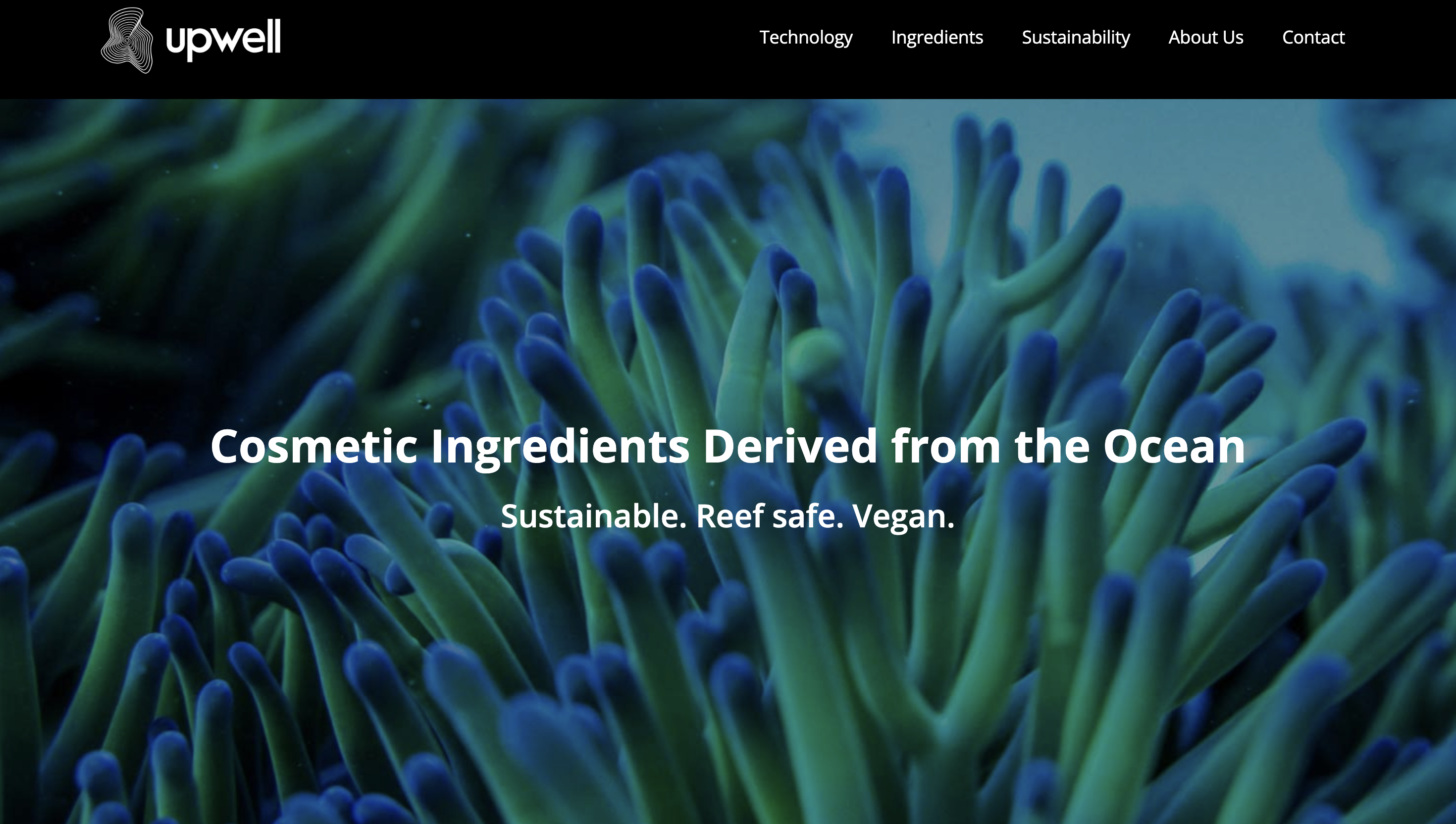 海洋材料创业公司 Upwell 从微藻中提取蜡，或将替代美容产品中的石油和动物基蜡