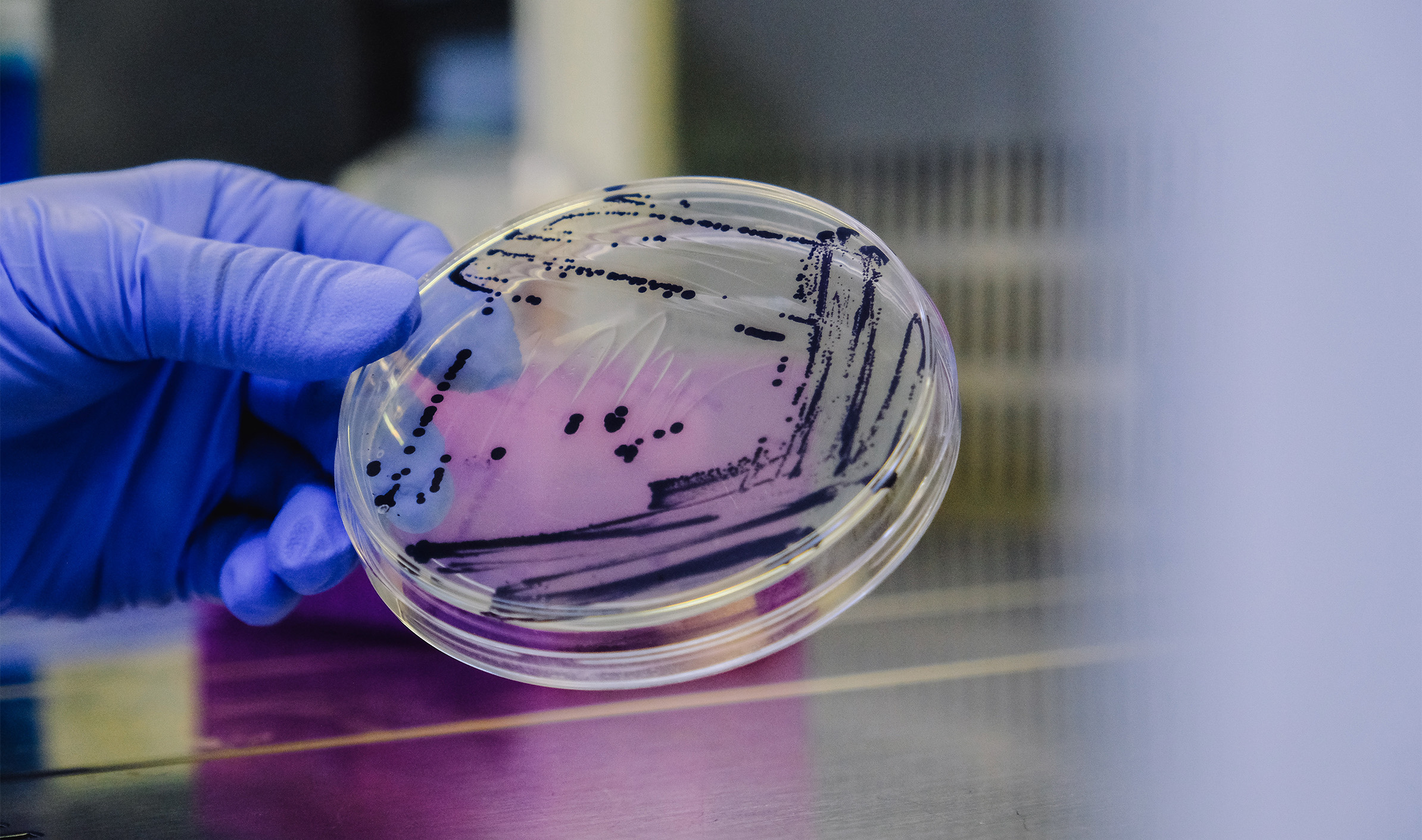意大利纺织品集团 Albini 合作英国生物公司 Colorifix 推出细菌染色试点项目，获开云集团支持