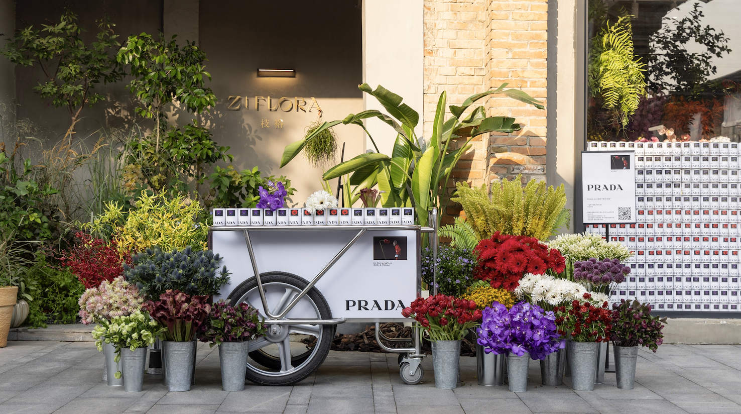 Prada 推出2023秋冬“种子计划”，在全球多地发放鲜花种子