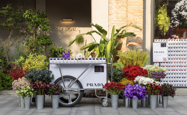 Prada 推出2023秋冬“种子计划”，在全球多地发放鲜花种子