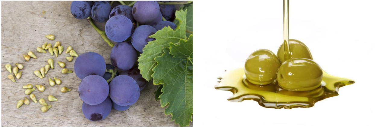 升级再造葡萄、橄榄副产品，西班牙天然植物配料技术公司 Alvinesa收购同行 Genosa