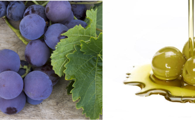 升级再造葡萄、橄榄副产品，西班牙天然植物配料技术公司 Alvinesa收购同行 Genosa