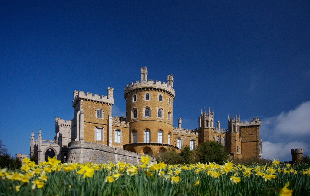 Belvoir-Castle-daffodils-1.jpg