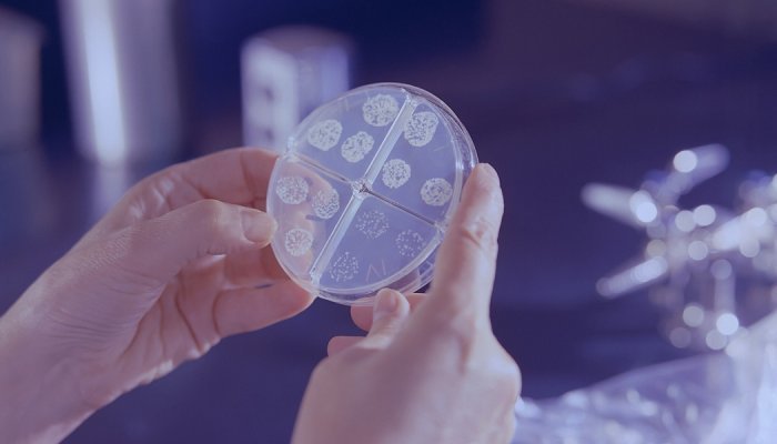 欧莱雅集团收购丹麦益生菌、微生物菌群研究公司 Lactobio