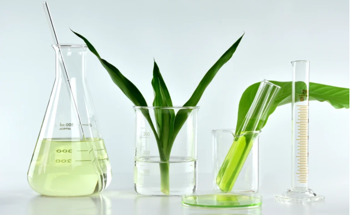 雅诗兰黛提出“绿色化学”量化评分系统，评估化妆品配方的可持续性