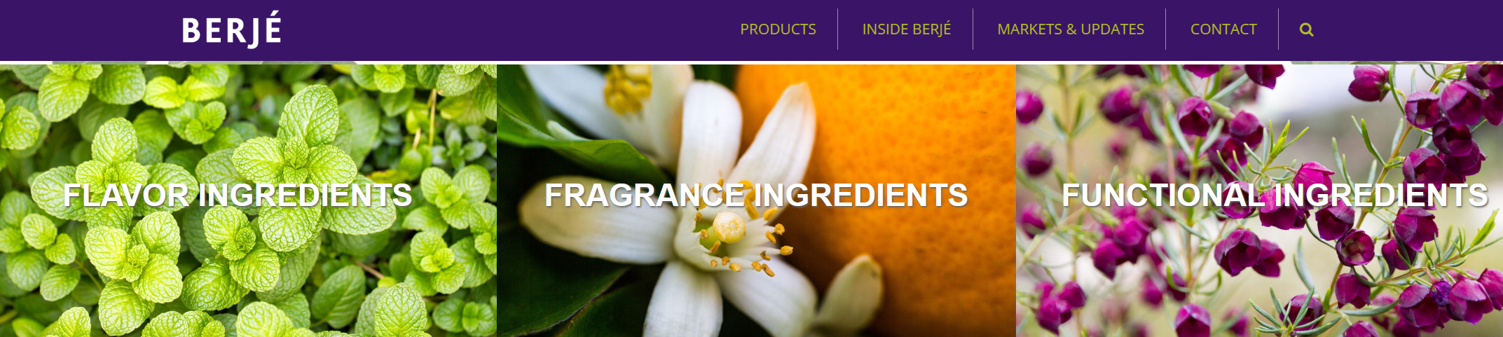 秘鲁酸橙及副产品生产商 GCI 和 Acelim 被美国香精香料家族企业 Berjé 收购