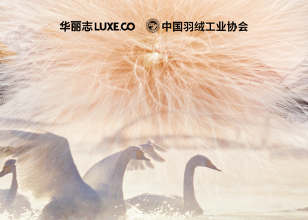 羽绒发展趋势之好鹅绒品质白皮书 | 好品质奠定品牌高端化基石