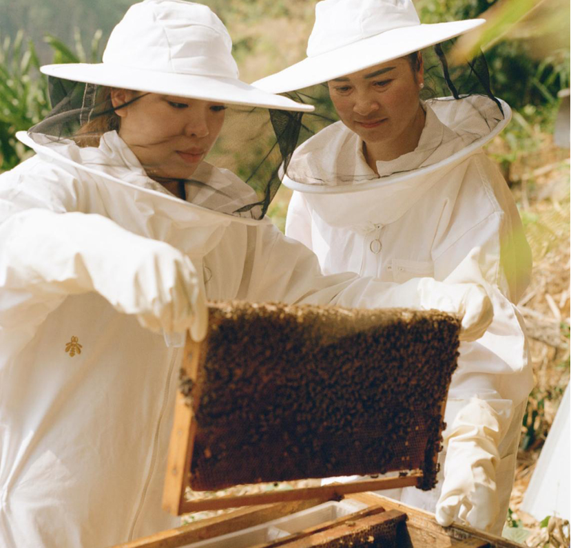 娇兰走进西双版纳，招募“女性养蜂人”
