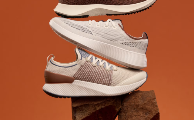 Allbirds 获7500万美元信贷额度，启动股票出售计划