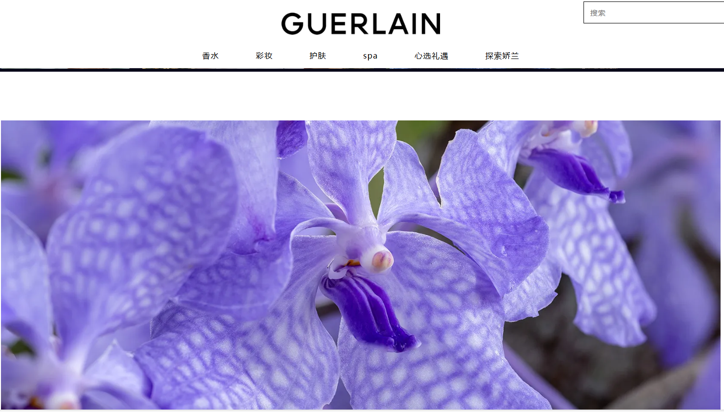 娇兰Guerlain 发布首部纪录片《非凡万代兰》，纪念云南天籽山兰花栖息地的重建