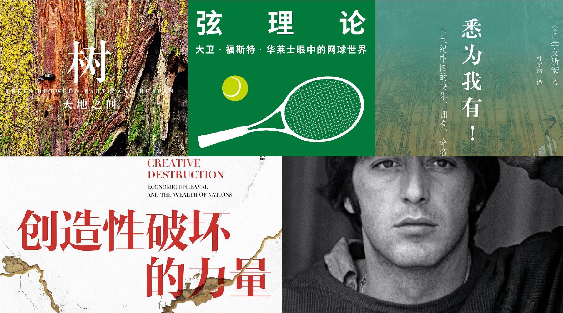 橙湾书单 2025年10月｜树、弦理论、悉为我有、侥幸求生、创造性破坏的力量