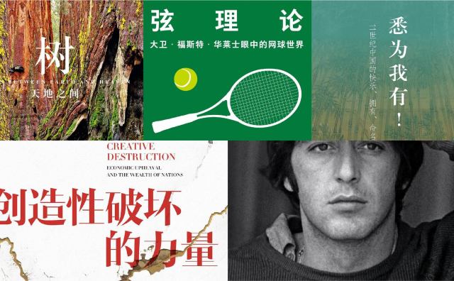 橙湾书单 2025年10月｜树、弦理论、悉为我有、侥幸求生、创造性破坏的力量