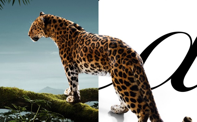 卡地亚品牌传播与营销高级副总裁解读：“猎豹”为何再度成为广告大片主角？