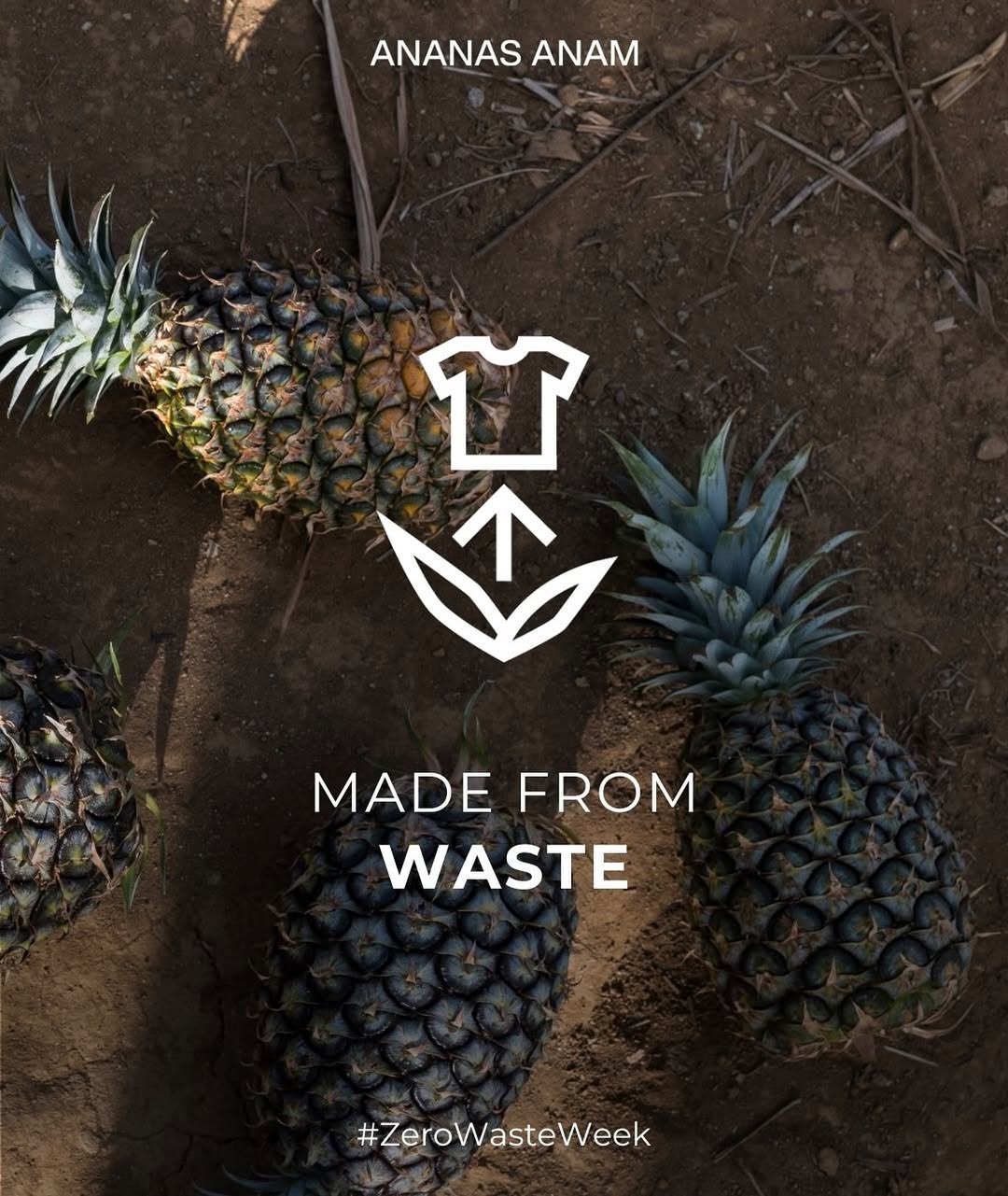 菠萝叶纤维材料 Piñatex 的英国制造商启动破产程序