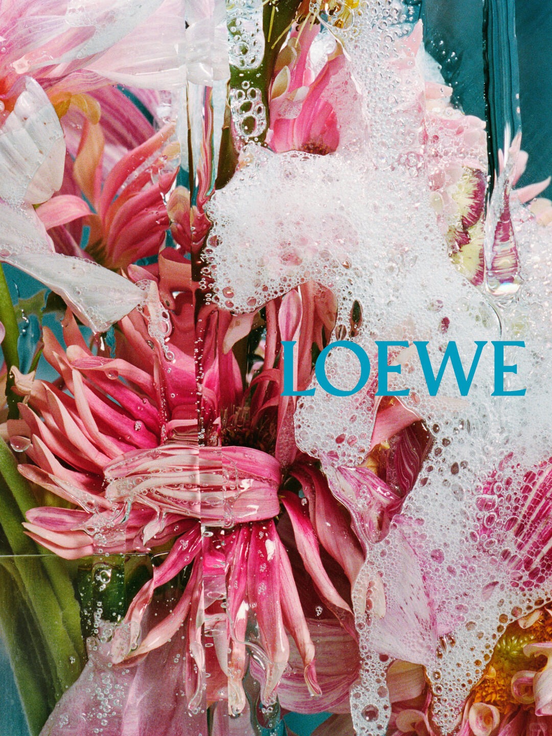 Loewe罗意威披露2024财年数据：总营收增长9.2%，利润有所下滑