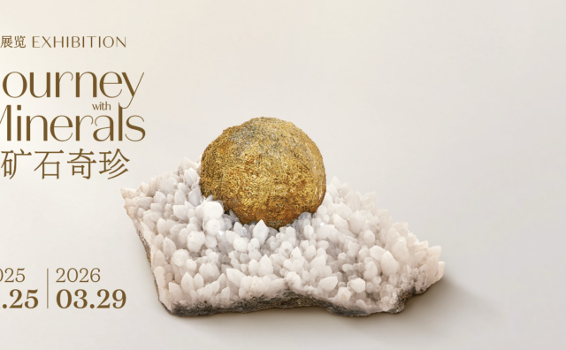 梵克雅宝支持创立的 L'ÉCOLE 珠宝艺术中心于上海呈献“矿石奇珍”展览