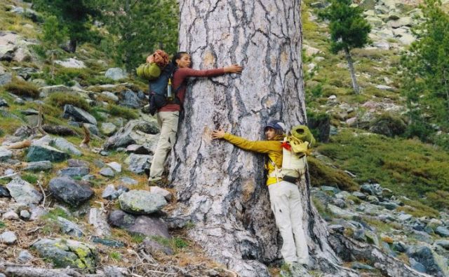 瑞典户外品牌 Klättermusen 攀山鼠收购韩国分销商