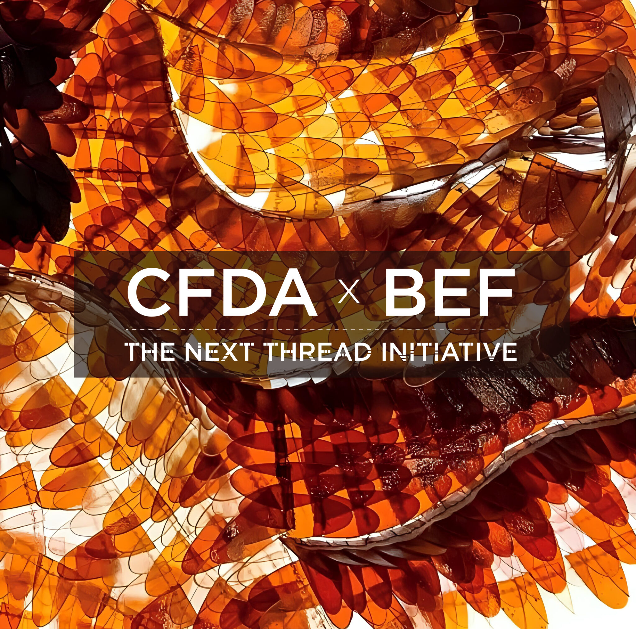 贝佐斯的公益基金与美国时装设计师协会CFDA 共同发起625万美元的可持续时尚计划