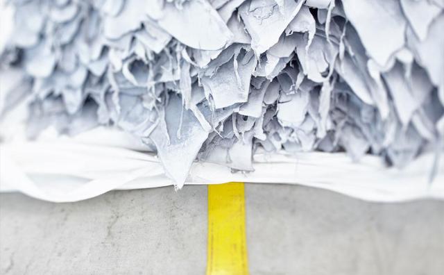 欧盟《森林砍伐条例》即将生效，在意大利制革业引发恐慌情绪