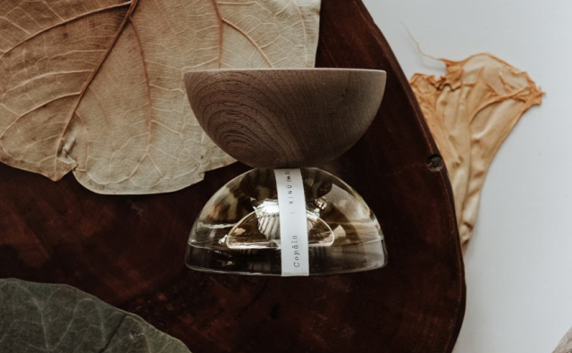 雅诗兰黛集团首次投资拉丁美洲品牌：墨西哥奢华香水 XINÚ