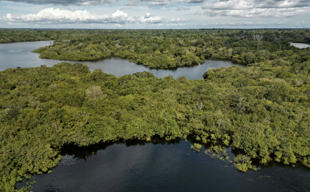 LVMH集团发布环境战略“LIFE 360”最新进展成果