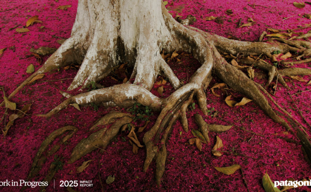 Patagonia 发布首份影响力报告，披露上财年销售额14.7亿美元