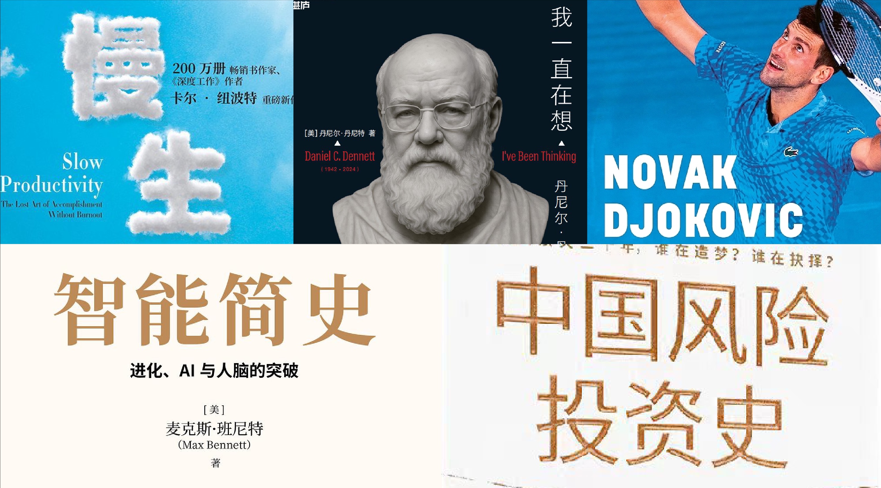 橙湾书单 2025年12月｜诺瓦克・德约科维奇、我一直在想、智能简史、慢生产力、中国风险投资史