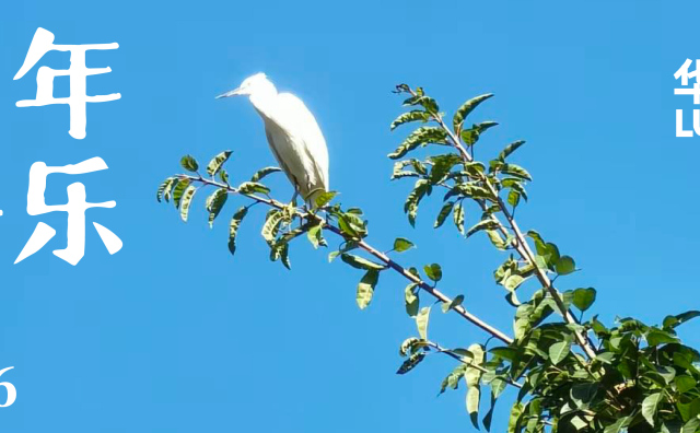 来自华丽志的新年祝福