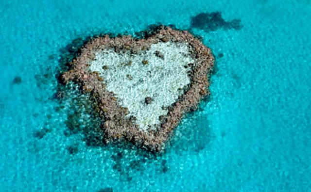 黑石集团收购“澳洲最热门旅行目的地”汉密尔顿岛，作价12亿澳元