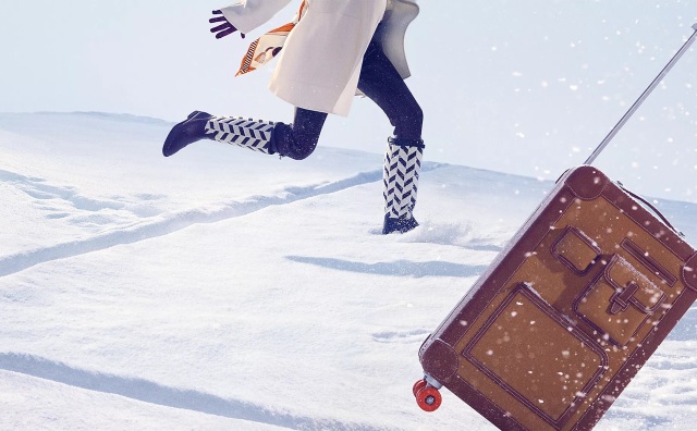 LVMH集团否认爱马仕家族成员的指控