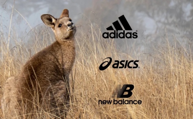 阿迪达斯、New Balance、亚瑟士停止使用“袋鼠皮”制作运动鞋