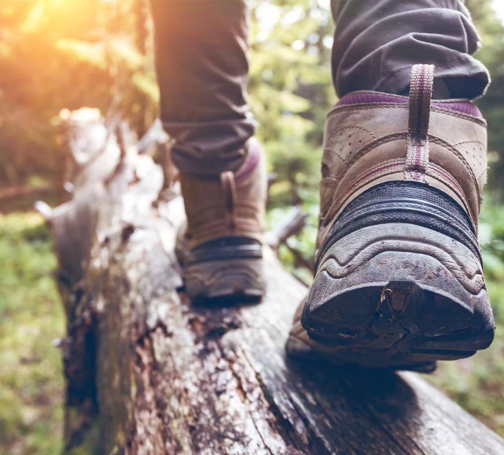 2025年美国鞋履销售规模达900亿美元，功能性产品引领增长｜消费行为研究机构 Circana