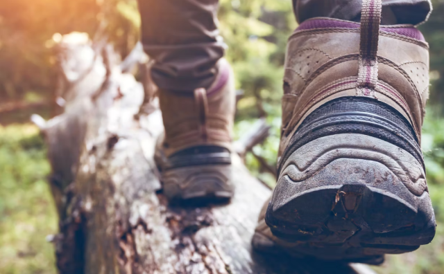 2025年美国鞋履销售规模达900亿美元，功能性产品引领增长｜消费行为研究机构 Circana