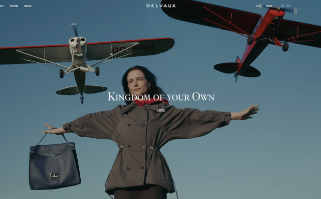 瑞士历峰集团已向 Delvaux 品牌输血一亿欧元，仍未扭转亏损局面