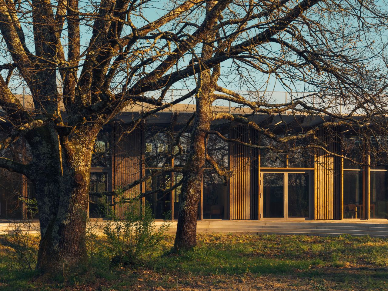 爱马仕CEO笑言：我们的优势就在于，几乎错过了所有的技术革命！