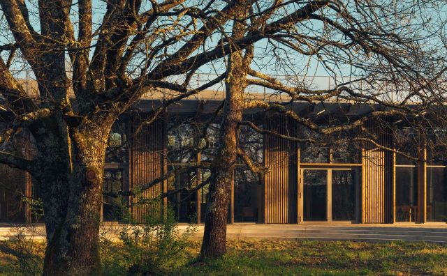 爱马仕CEO笑言：我们的优势就在于，几乎错过了所有的技术革命！