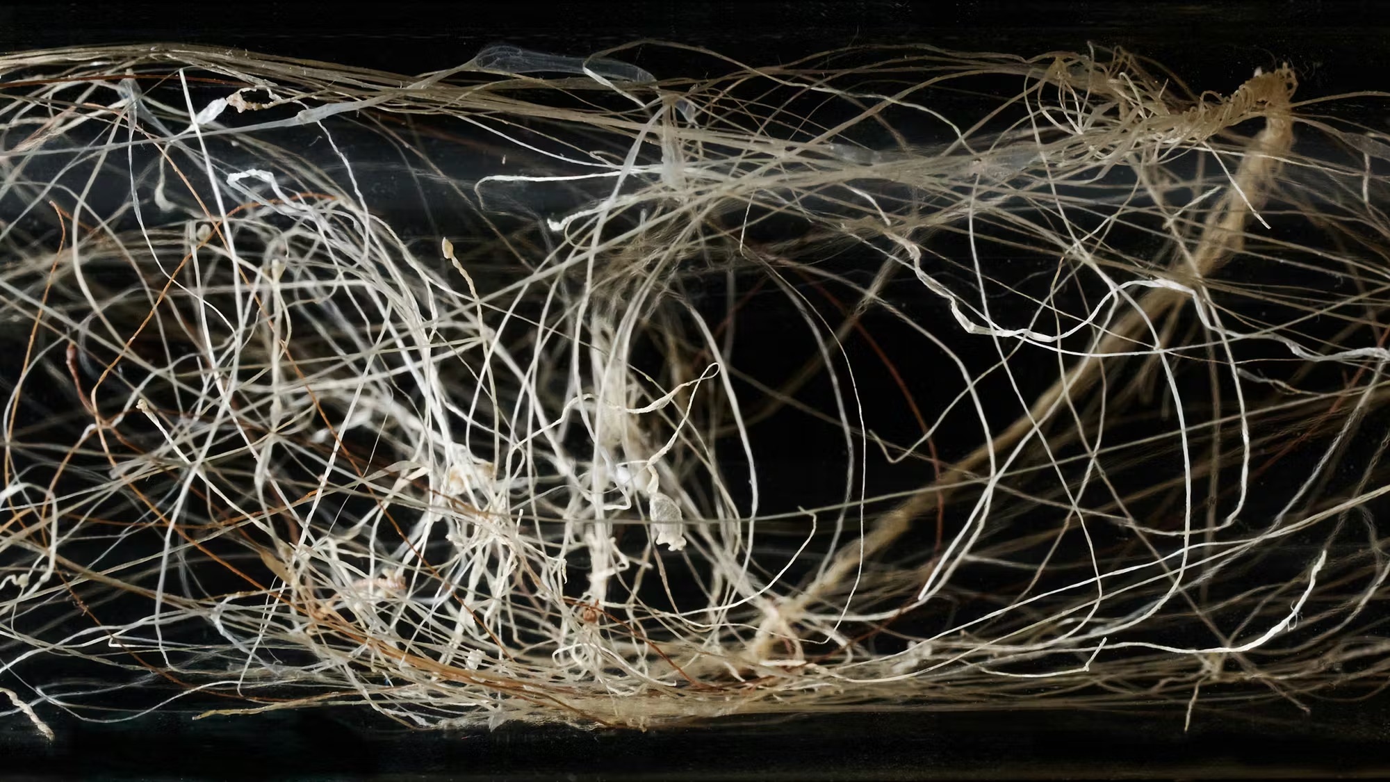 贝佐斯夫妇加码布局“可持续时尚”，将资助大学和研究机构3400万美元