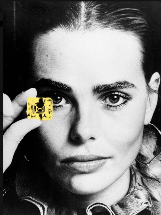 让珠宝拥抱阳光和大海，90岁的FRED斐登为何更年轻了？